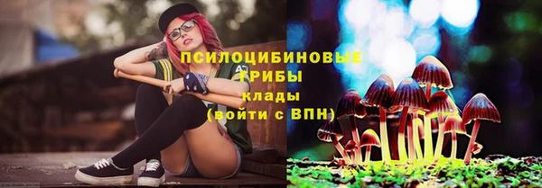 мяу мяу мука Богородицк